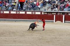 Tauromaquia-Banderilleros-Gallery11