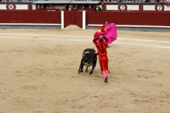 Tauromaquia-Banderilleros-Gallery12