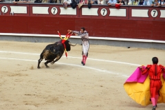 Tauromaquia-Banderilleros-Gallery13