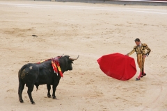 Tauromaquia-Bull01