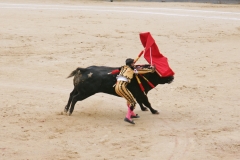 Tauromaquia-Bull02