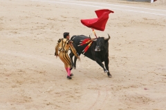 Tauromaquia-Bull03