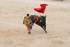 Tauromaquia-Bull03