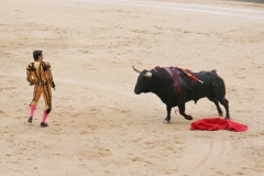 Tauromaquia-Bull04