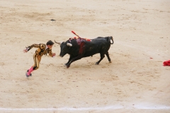 Tauromaquia-Bull05