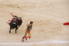 Tauromaquia-Bull06