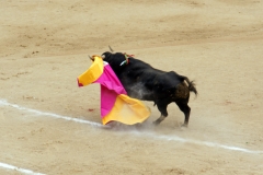 Tauromaquia-Matador-Gallery02