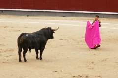 Tauromaquia-Matador-Gallery04