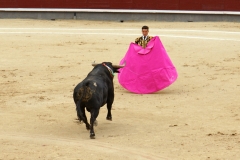 Tauromaquia-Matador-Gallery06