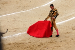 Tauromaquia-Matador-Gallery07