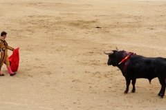 Tauromaquia-Matador-Gallery08