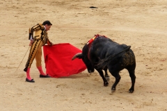 Tauromaquia-Matador-Gallery09