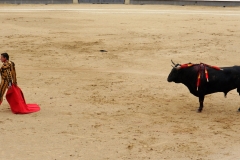 Tauromaquia-Matador-Gallery11