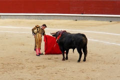 Tauromaquia-Matador-Gallery12