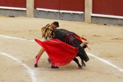 Tauromaquia-Matador-Gallery13