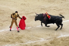 Tauromaquia-Matador-Gallery14