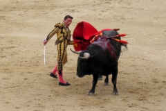 Tauromaquia-Matador-Gallery15