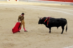 Tauromaquia-Matador-Gallery16