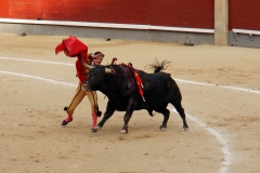 Tauromaquia-Matador-Gallery17
