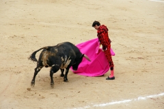 Tauromaquia-Matador-Gallery18