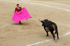 Tauromaquia-Matador-Gallery19