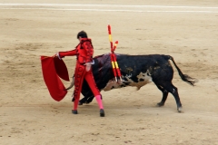 Tauromaquia-Matador-Gallery21