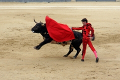 Tauromaquia-Matador-Gallery22