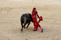 Tauromaquia-Matador-Gallery24