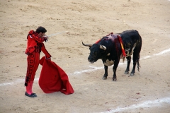 Tauromaquia-Matador-Gallery25