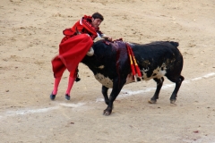 Tauromaquia-Matador-Gallery26