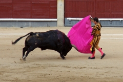 Tauromaquia-Matador-Gallery27