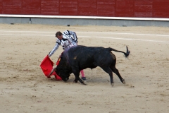 Tauromaquia-Matador-Gallery29