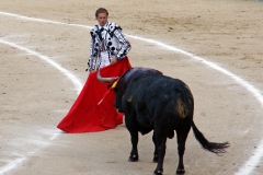 Tauromaquia-Matador-Gallery30