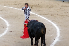 Tauromaquia-Matador-Gallery31