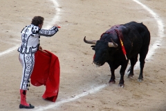 Tauromaquia-Matador-Gallery32