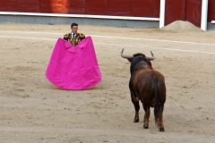 Tauromaquia-Matador-Gallery33