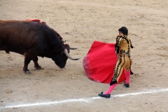 Tauromaquia-Matador-Gallery34