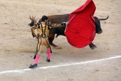 Tauromaquia-Matador-Gallery35