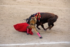 Tauromaquia-Matador-Gallery36