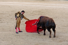 Tauromaquia-Matador-Gallery37