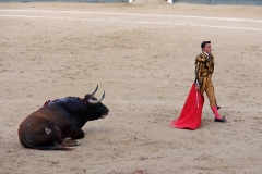 Tauromaquia-Matador-Gallery38