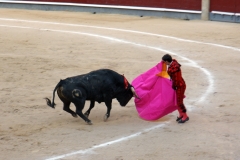 Tauromaquia-Matador-Gallery39