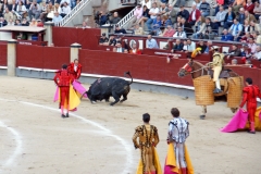 Tauromaquia-Matador-Gallery40