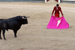 Tauromaquia-Matador-Gallery41