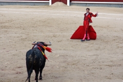 Tauromaquia-Matador-Gallery44