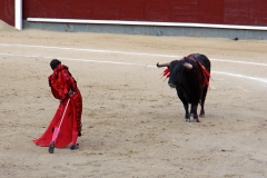 Tauromaquia-Matador-Gallery45