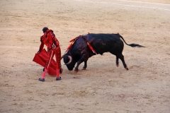 Tauromaquia-Matador-Gallery46