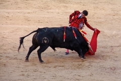 Tauromaquia-Matador-Gallery47