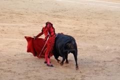 Tauromaquia-Matador-Gallery48