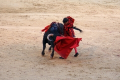 Tauromaquia-Matador-Gallery49